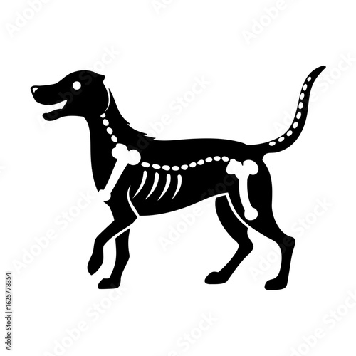 Silhouette of a dog skeleton, perfect for halloween isolated on white background