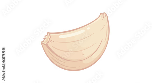 A single fresh garlic clove illustration, an aromatic and pungent culinary ingredient. Vector food icon isolated on a white background.