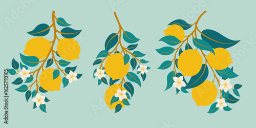 Lemon Tree Branches with Fruit and Flowers Summer Citrus Illustration