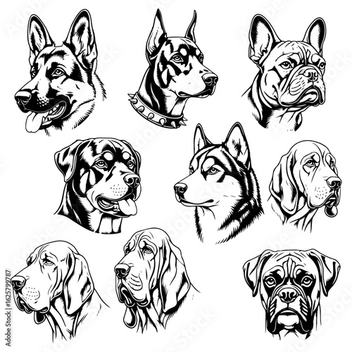 Collection of nine diverse dog breed heads in black and white illustration dogs breeds