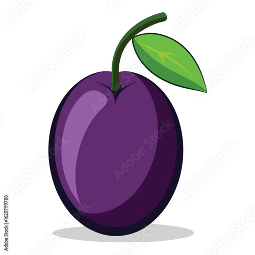 Healthy Plum Fruit with Green Leaf and Stem