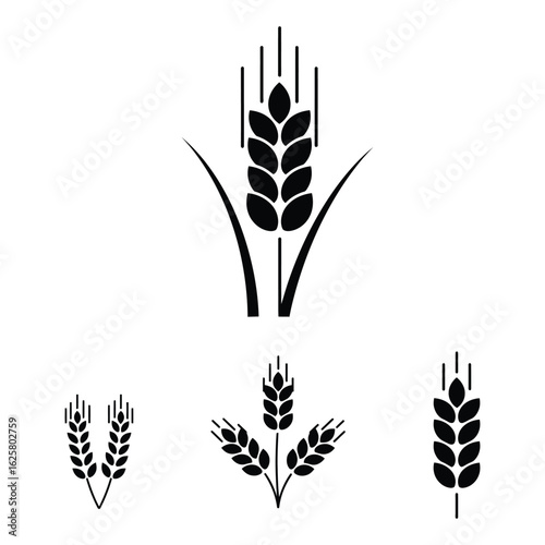 Set of stylized black wheat ears and stalks icons on a white background representing agriculture and food production