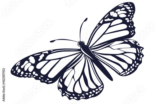 black swallowtail butterfly