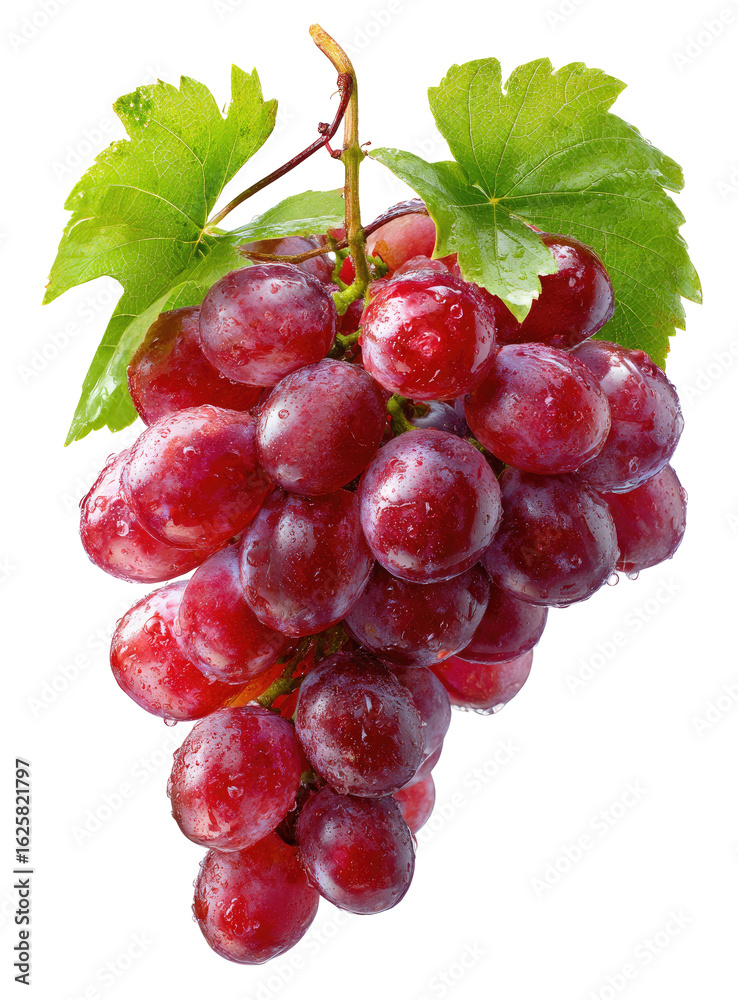 Fototapeta premium A bunch of vibrant red grapes hangs from a stem, with lush green leaves