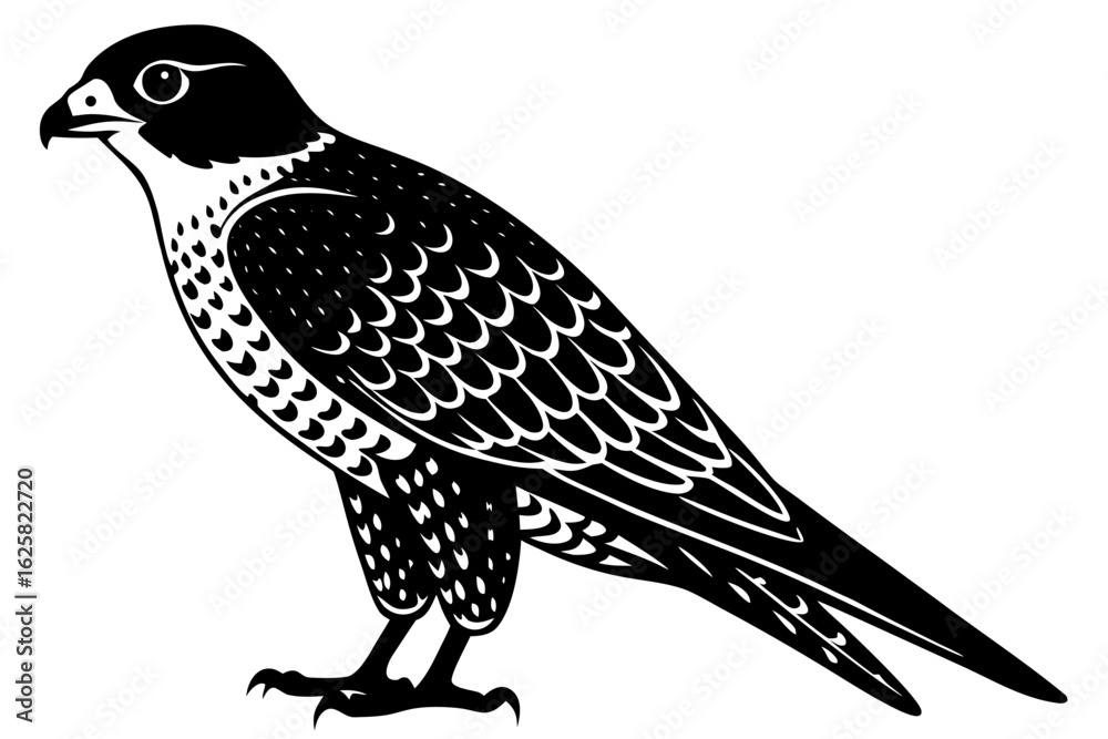 Fototapeta premium Isolated falcon bird predator animal wildlife hawk eagle falconry silhouette vector illustration