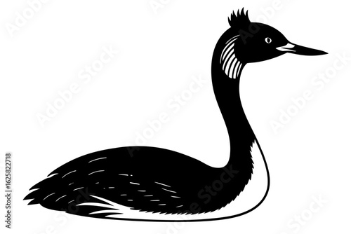 Great crested grebe bird water fowl wildlife animal nature silhouette vector illustration
