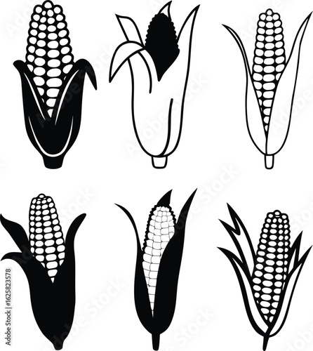 Isolated yellow corn cobs with green leaves