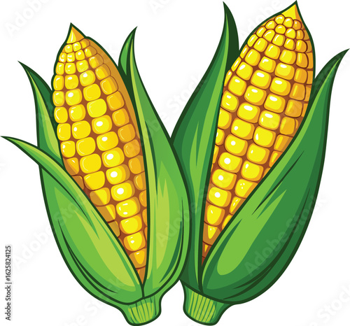 Sweet, ripe yellow corn on the cob with green leaves, isolated on a white background