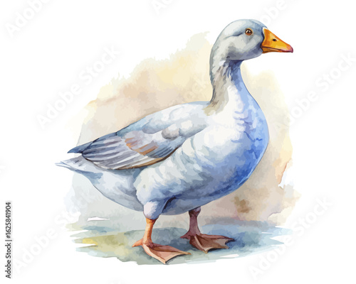 watercolor goose vector illustration isolated on white background