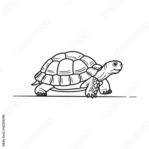 Hand drawn sketch of a tortoise walking on a white background