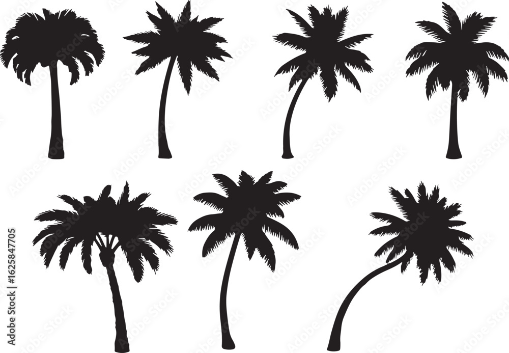 Obraz premium Black palm trees silhouette collection tropical foliage, palm trees, silhouette, black, tropical, foliage, fronds, trunks, nature, vector, illustration, design elements, summer, vacation, beach, exoti