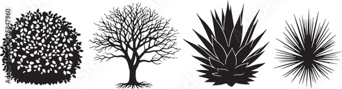 Bush bare tree spiky plants foliage leaves, bush, foliage, leaves, tree, branches, roots, agave, succulent, spiky, starburst, black, white, silhouette, nature, plants, flora, garden, botanical, design