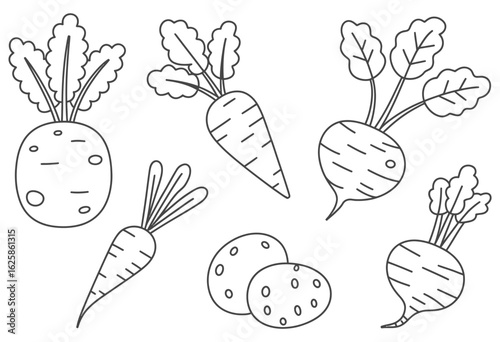 Root vegetables and potatoes with leafy tops carrots beets