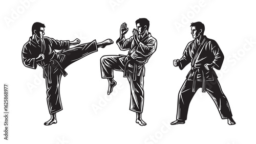 Martial Arts Action Dynamic Karate Poses Silhouette Fighters Training Self Defense Sparring Skills