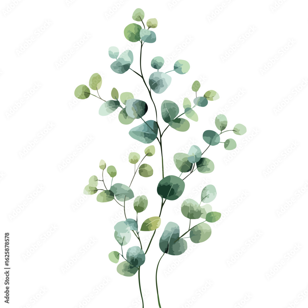 Obraz premium Eucalyptus Herbal Watercolor Leaves Frame