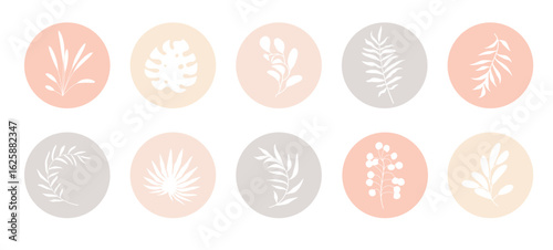 Vector abstract organic story highlight cover templates. Celestial influencer highlights. Mid Century Modern pale neutral earthy color botanical illustration. Delicate hipster boho design elements set