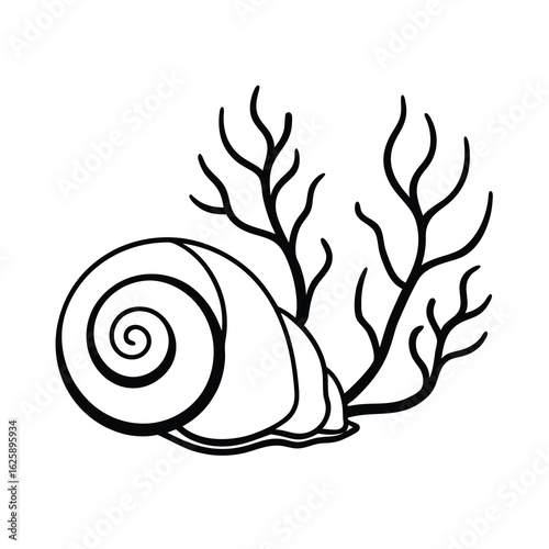 oceanic snail shell and seaweed on white background