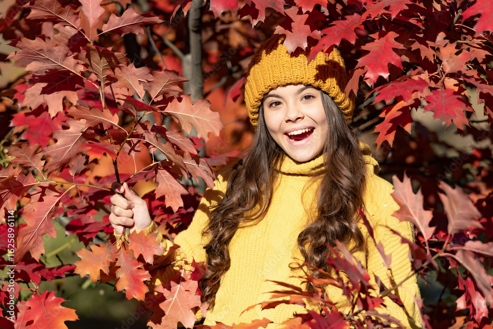 amazed teen girl in hat at autumn leaves on natural background amazed teen girl in hat at autumn leaves on natural background