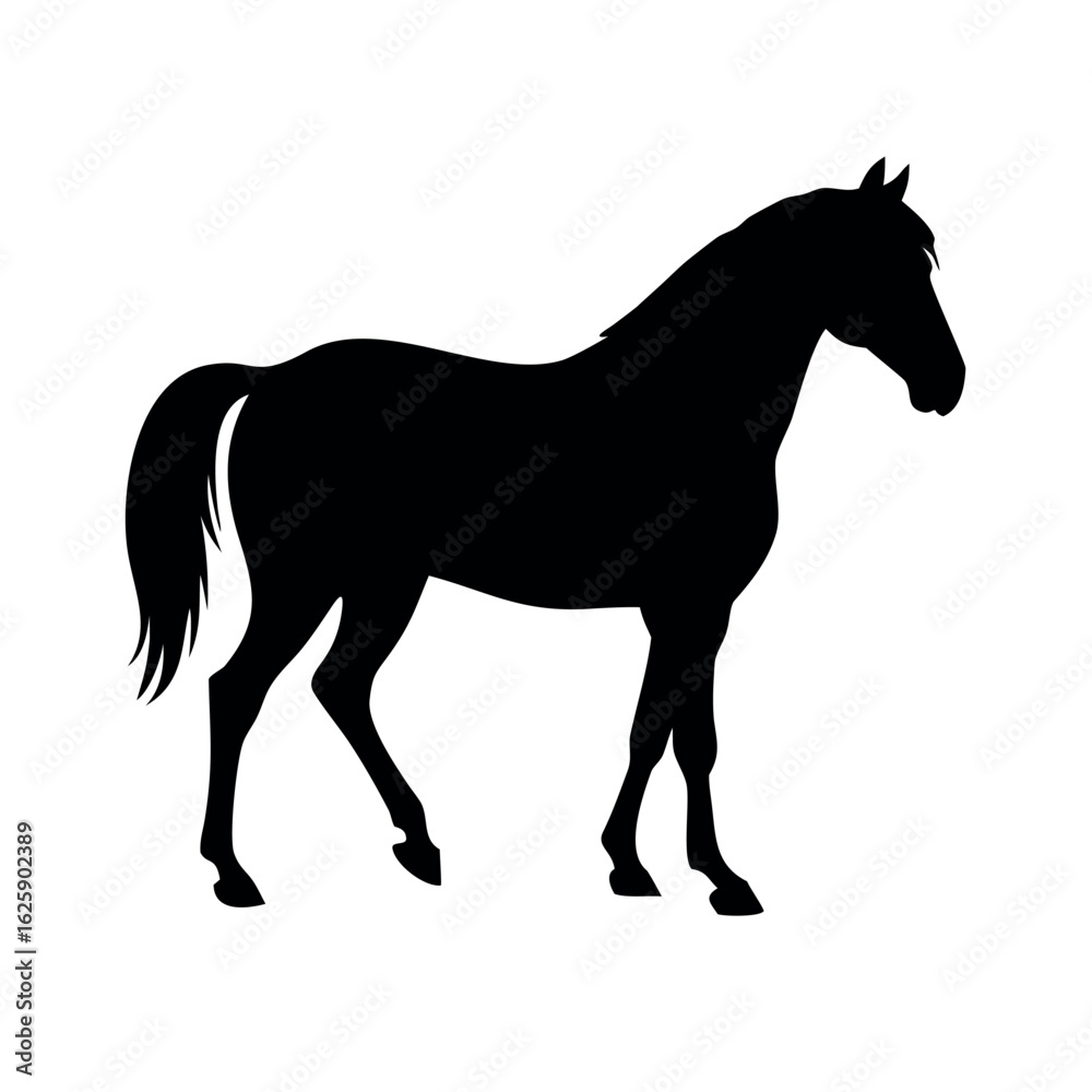 Obraz premium horse black silhouette on white back round
