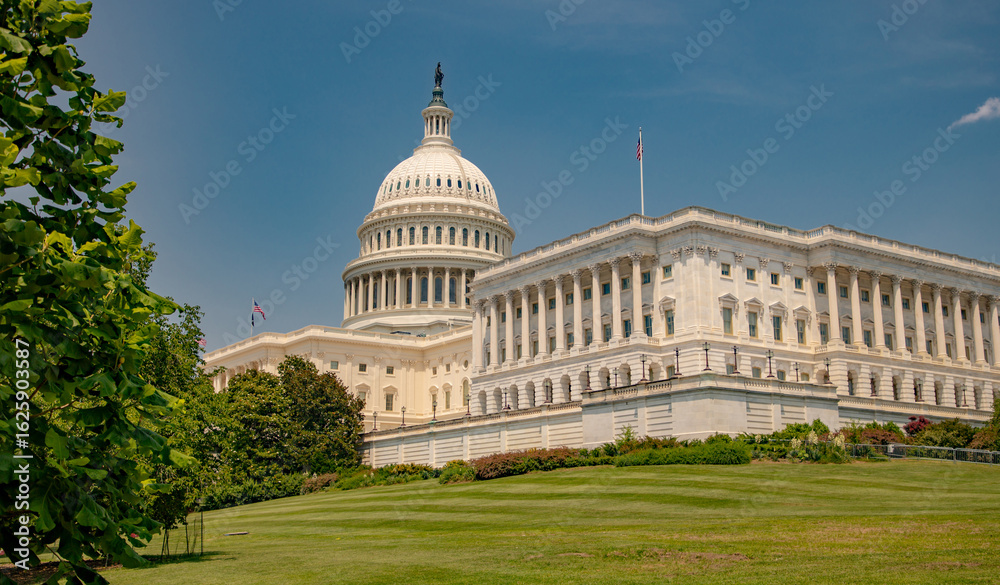 Obraz premium Historic Capitol by the national flag. Capitol building. USA symbol. U.S. Senate. American capital city. Washington DC. Capitol dome as a symbol of law. Capitol on a sunny day.