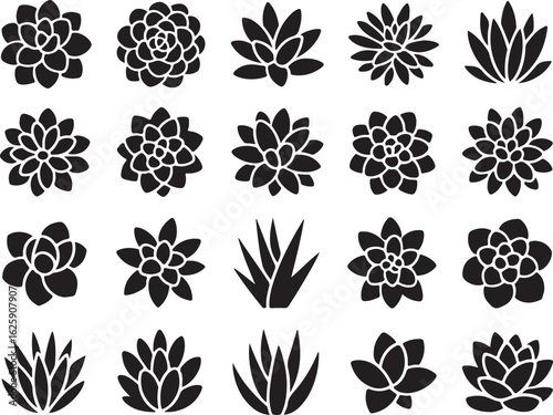 Collection of stylized black silhouette succulent plants and cacti