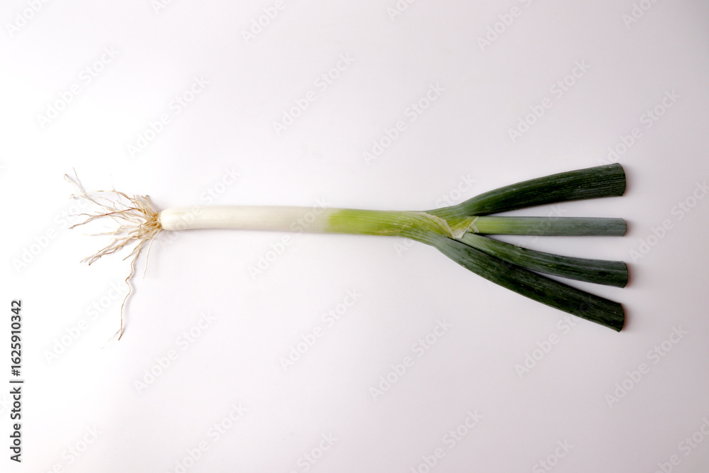 Fototapeta premium A single stem of green onion on a white background
