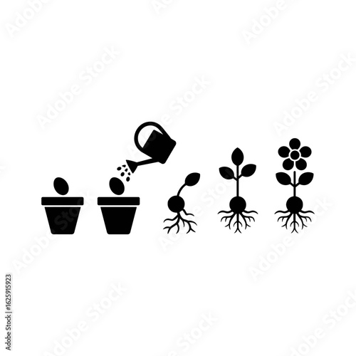 Life Cycle of a Plant: An illustrative progression of a plant's life cycle, from seed to bloom, symbolizing growth, nurture, and the beauty of nature's process.