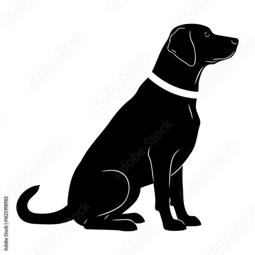 Vector  silhouette of a black labrador retriever sitting with a white collar on transparent background