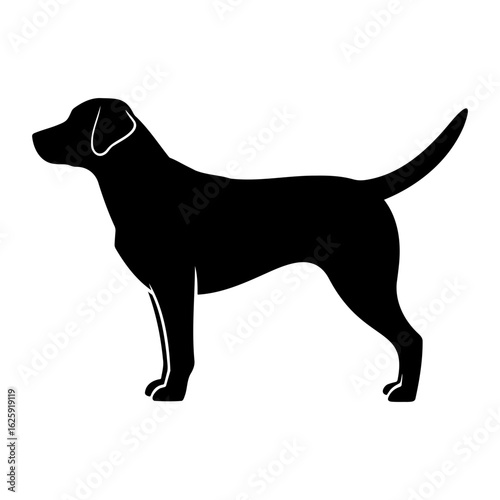 Vector  silhouette of a labrador retriever standing in a side profile view on transparent background