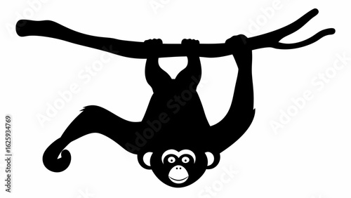 Silhouette of a monkey hanging upside down from a branch with a playful expression on its face shown clearly