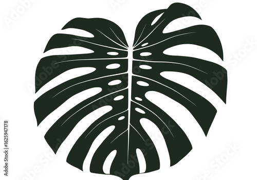 A single, stylized graphic illustration of a dark green, heart-shaped Monstera leaf.