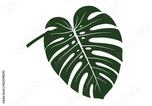 A stylized graphic illustration of a single dark green Monstera leaf on a white background.