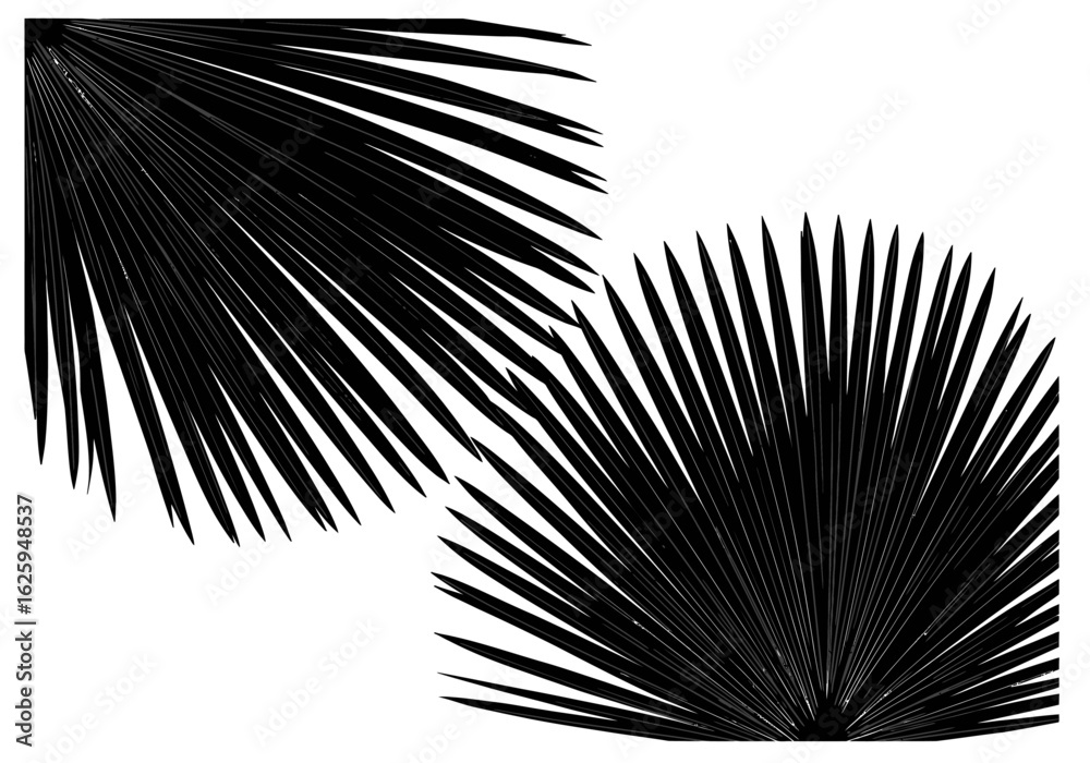 Obraz premium Two stylized, black palm fronds are arranged against a clean, white background, creating a striking contrast.