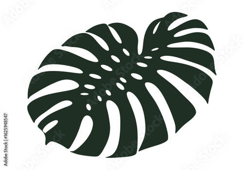 Silhouette of a Monstera leaf with distinctive fenestrations and holes, isolated on a white background.