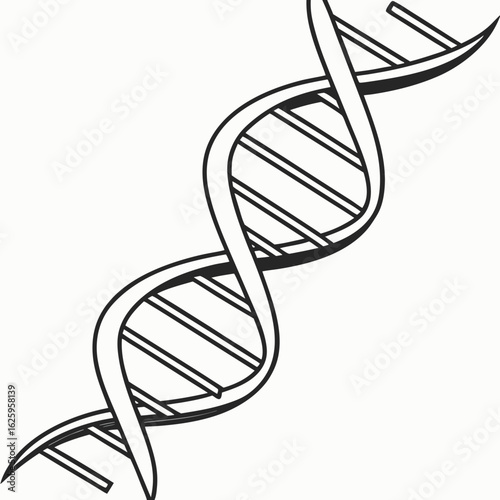 Illustration of a dna molecule structure isolated on white background and black outline