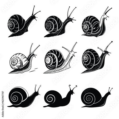 Snail Silhouettes and Illustrations, snail walking on road