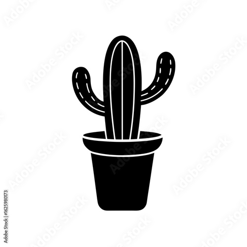 cactus in a pot