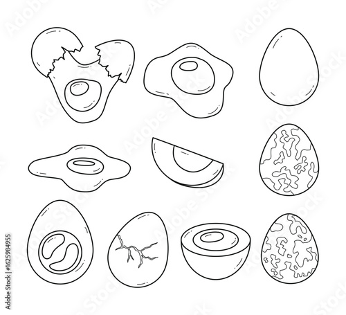 Set of fresh and boiled eggs outline set collection of whole eggs line art, broken eggs, fried, yolks, quail, crack open egg, eggshells, sunny side, and boiled eggs isolated on black background.