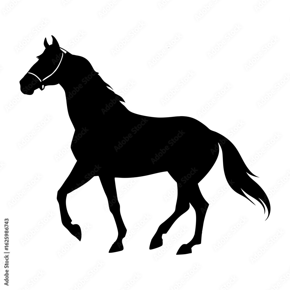 Fototapeta premium Horse silhouette vector illustration isolated on white background showing running stallion with mane in black outline style