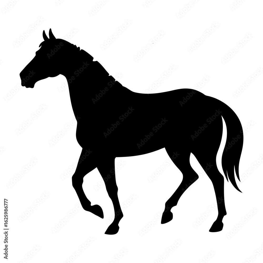 Obraz premium Horse silhouette running on white background illustration vector design