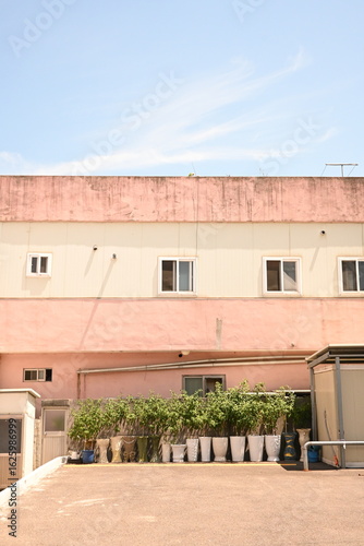 A pastel-toned pink and cream building with lined-up potted plants under a bright summer sky.