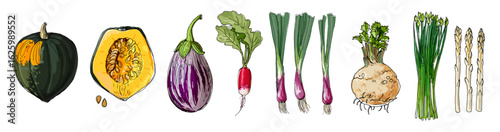 Hand Drawn Colorful Vegetables – Sketch Style Vector Set