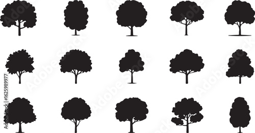 Various deciduous trees silhouettes on the white background