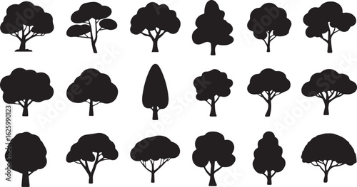 Various deciduous trees silhouettes on the white background