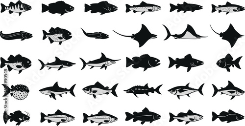 Cad Drawing Vector Illustration, Fish Silhouettes Set, Diverse Marine Species, Editable Aquatic Pack, Fishing and Ocean Life Graphic Icons