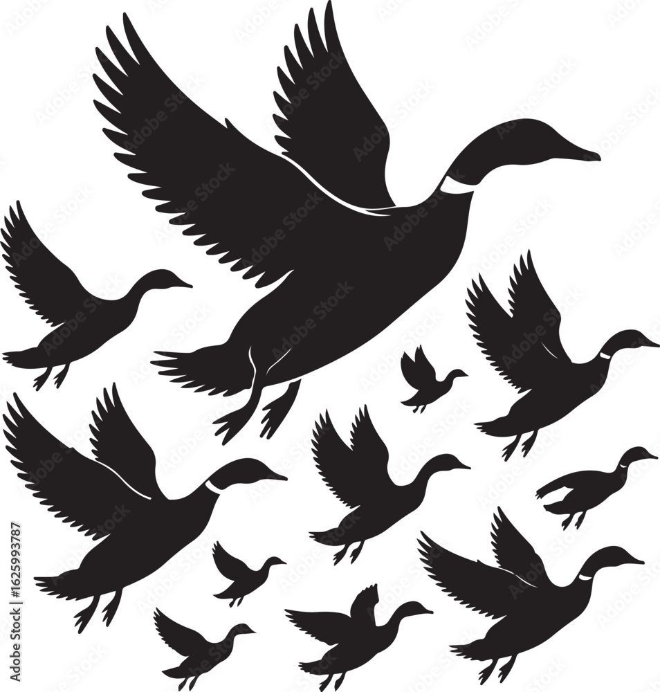 Fototapeta premium set of silhouettes of birds