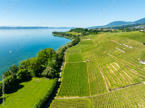 Aerial view along lake Neuchâtel at Cortaillod with vineyard in the canton of Neuchâtel in Switzerland