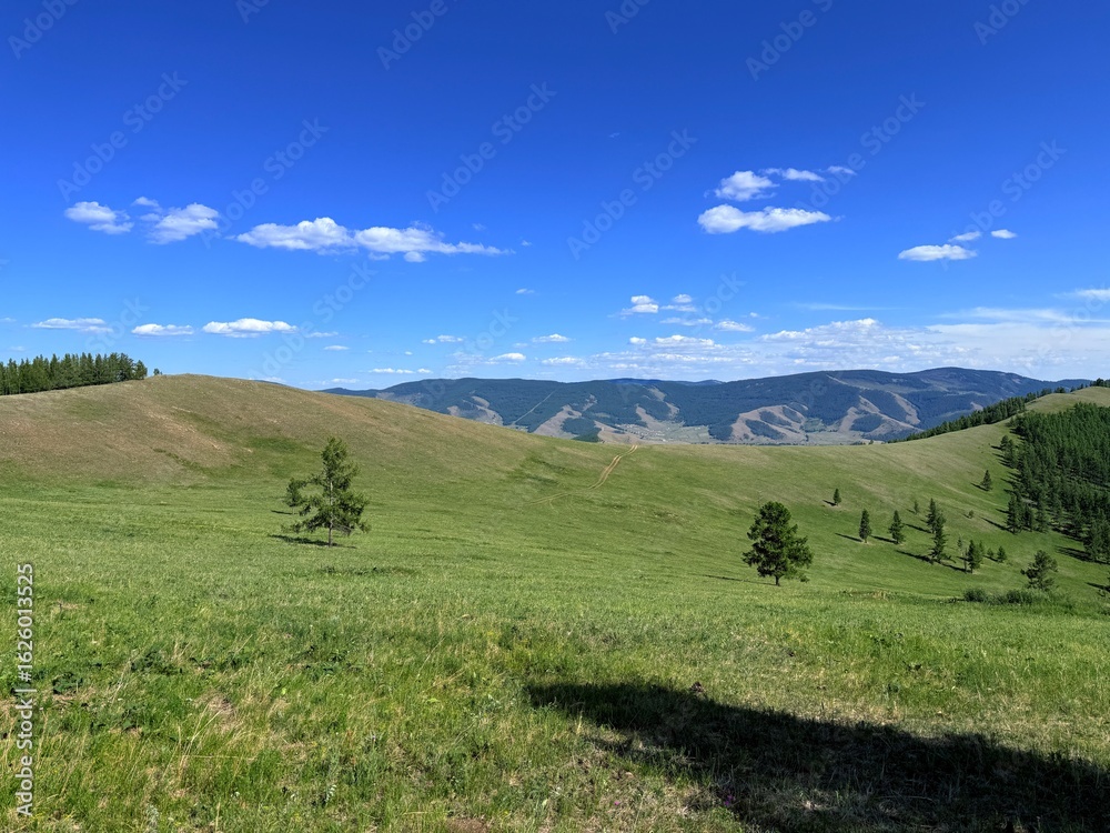 Fototapeta premium Grazing livestock and nomadic yurts on Mongolian steppe near Ulaanbaatar, captured during a horse riding tour