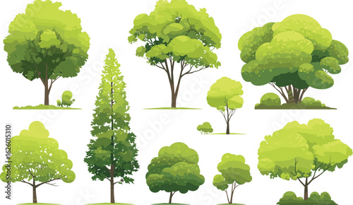 Green Canopy Collection: An artistic compilation of various green trees against a clean background, ideal for illustrating nature, environment, and forestry themes. 