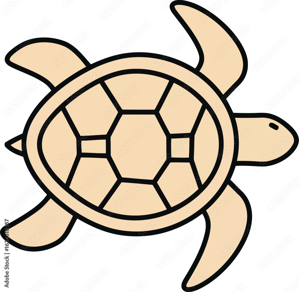 Fototapeta premium Cute cartoon sea turtle illustration